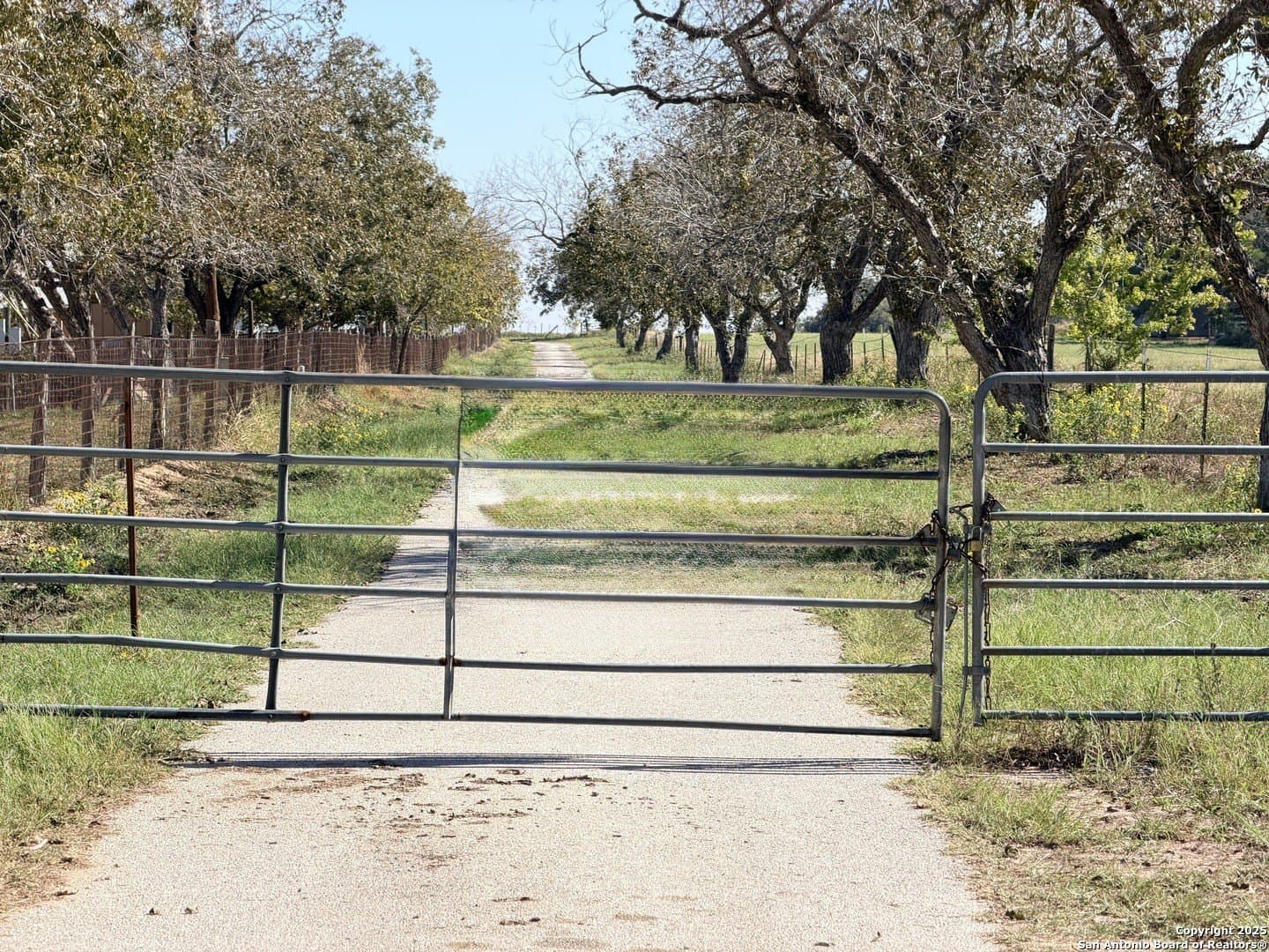 72 acres in Atascosa County - photo 3