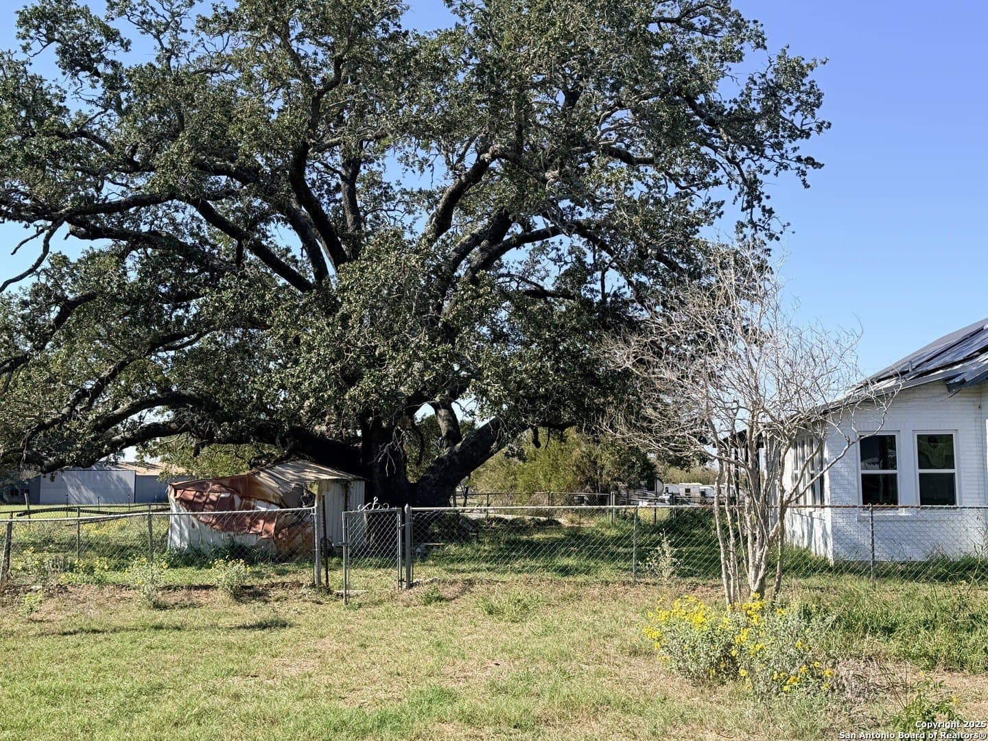 72 acres in Atascosa County - photo 7