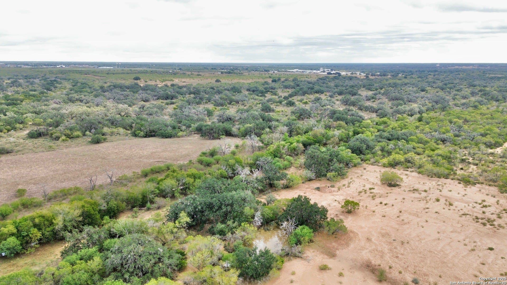 72 acres in Atascosa County - photo 26