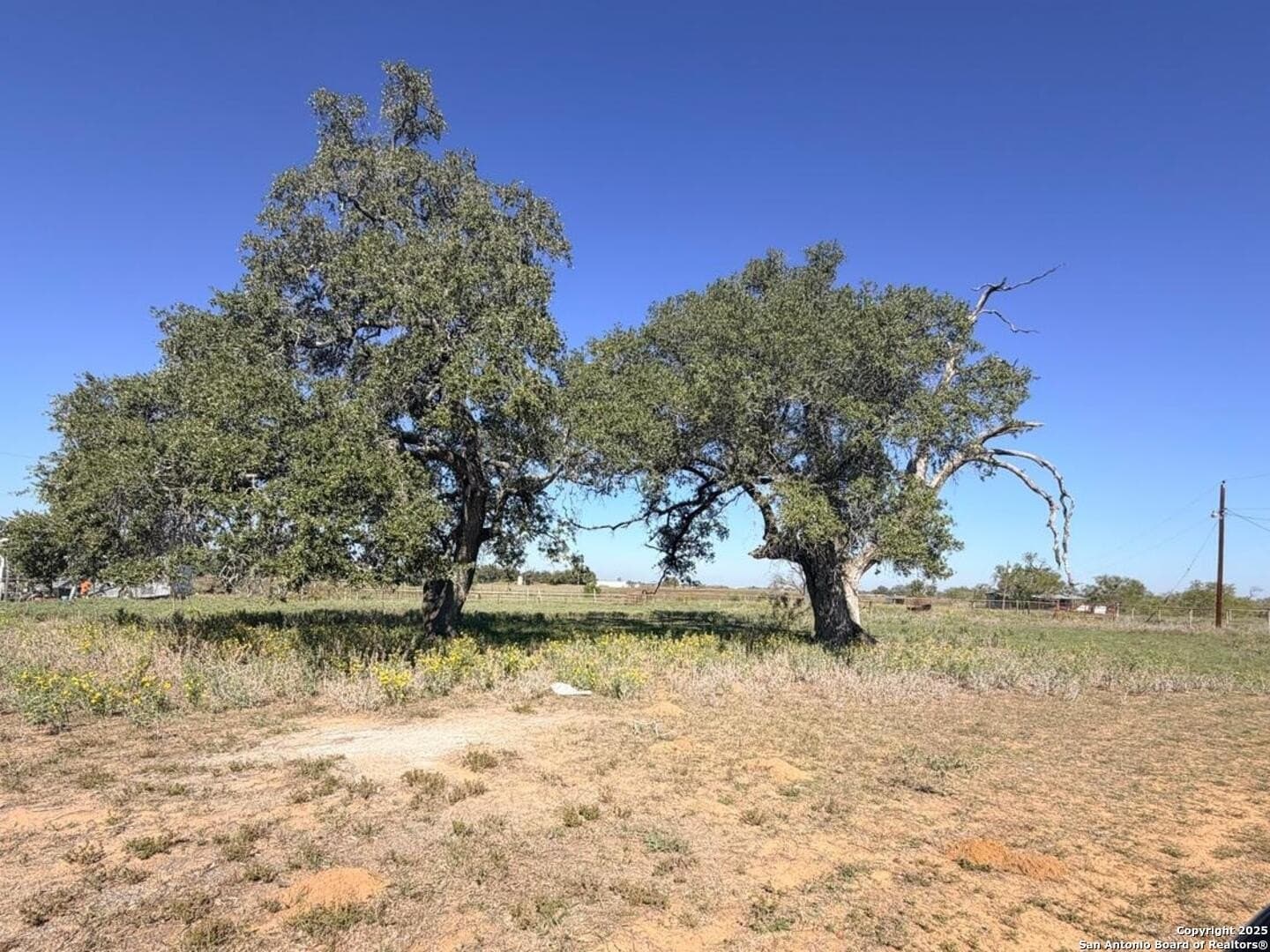 72 acres in Atascosa County - photo 14