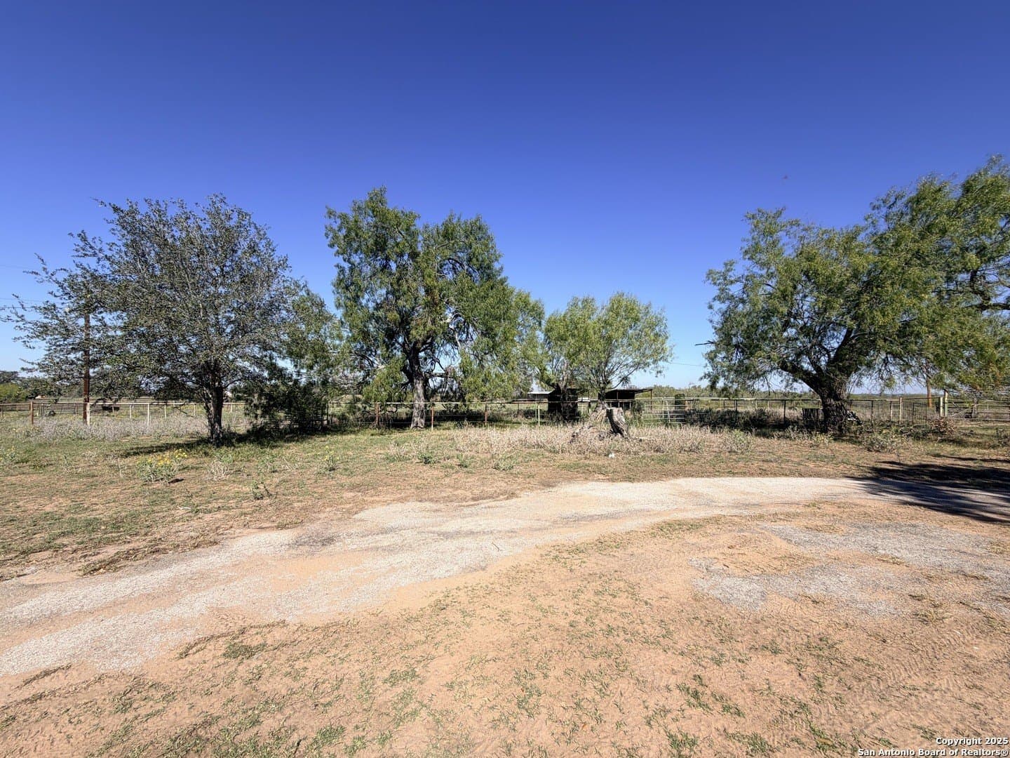 72 acres in Atascosa County - photo 4