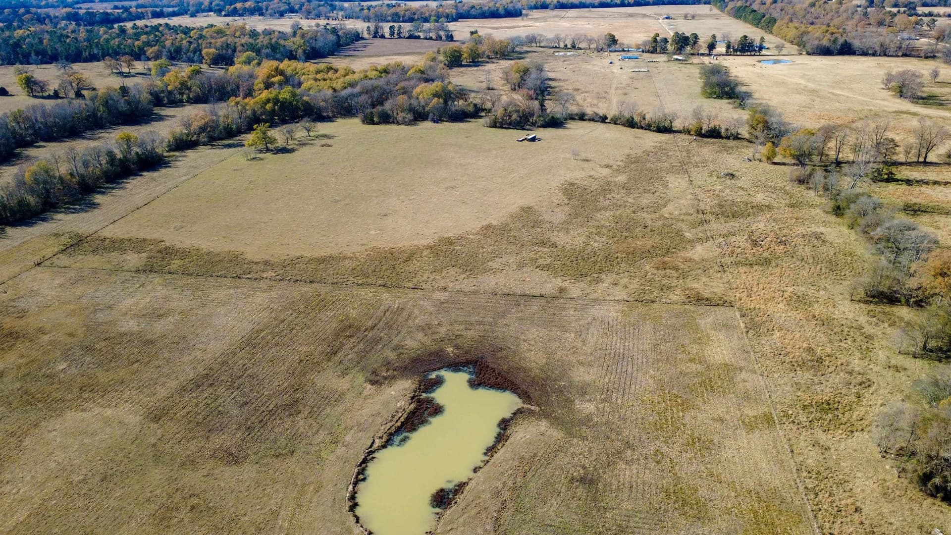 45.2 acres in Upshur County - photo 5