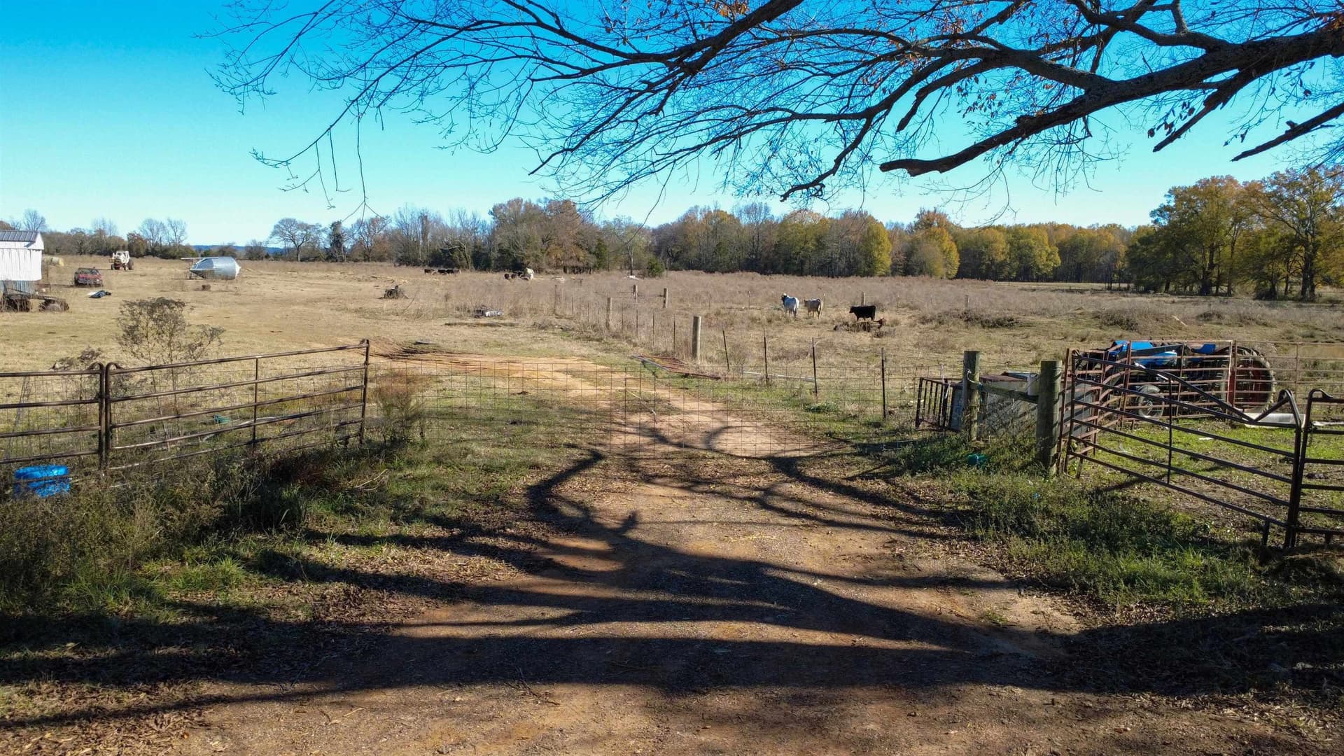 45.2 acres in Upshur County - photo 14