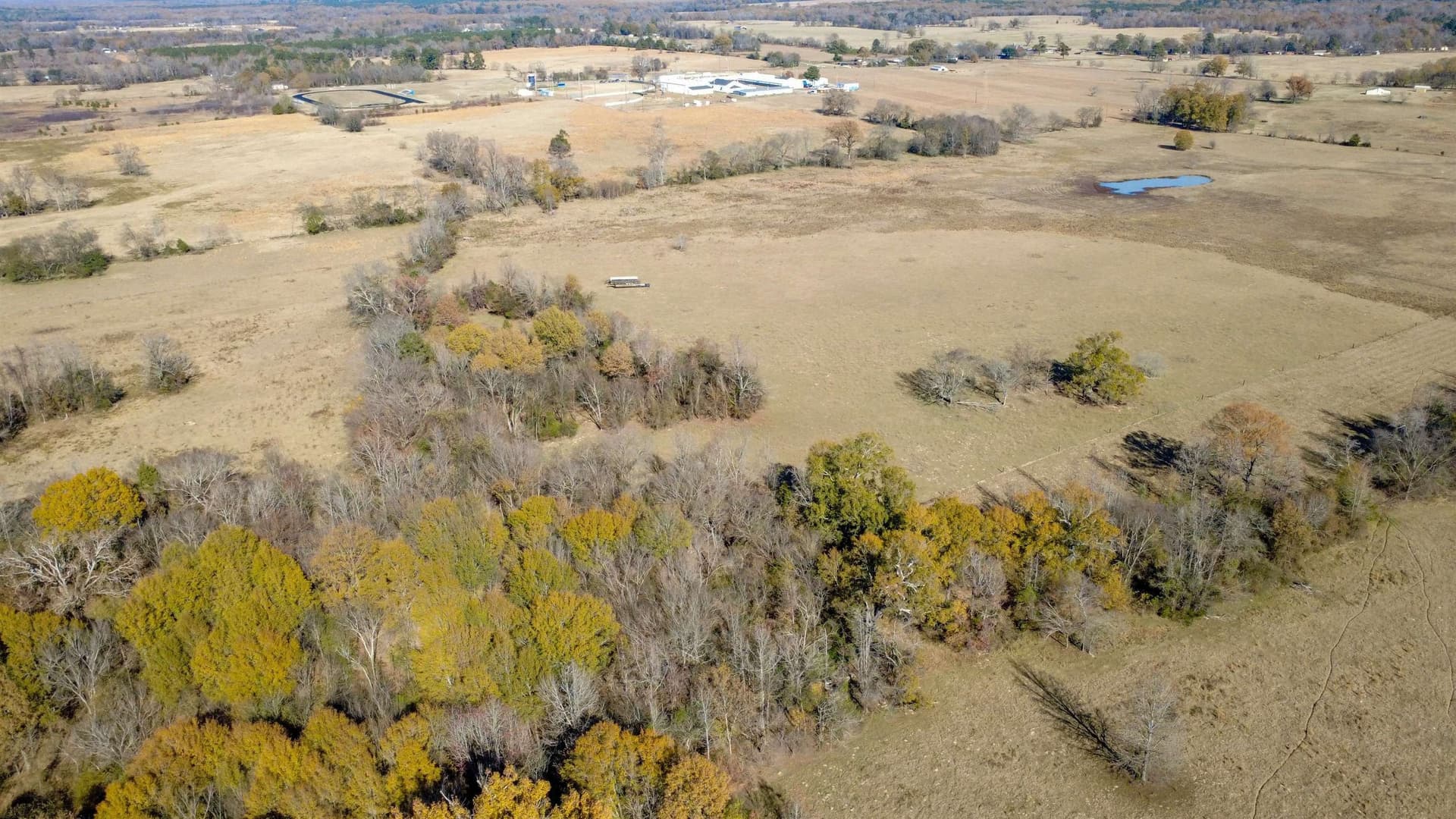 45.2 acres in Upshur County - photo 13