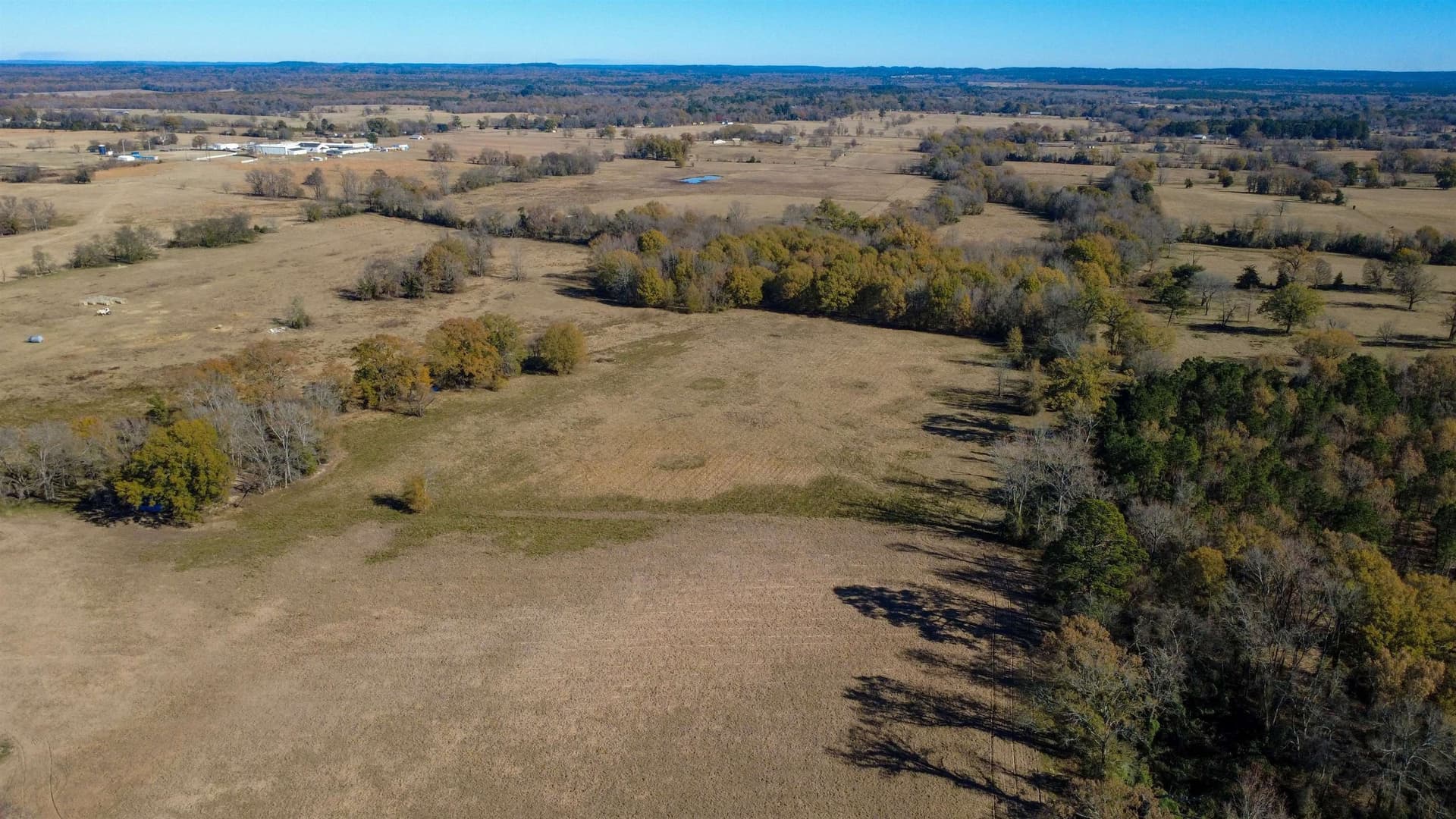 45.2 acres in Upshur County - photo 19