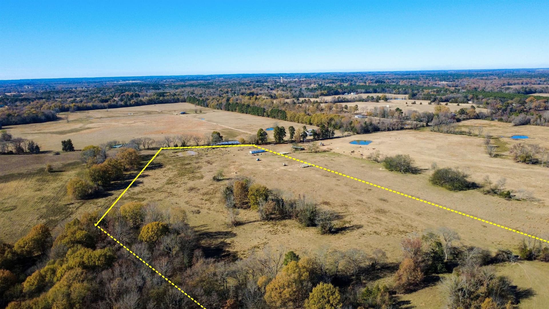 45.2 acres in Upshur County - photo 8