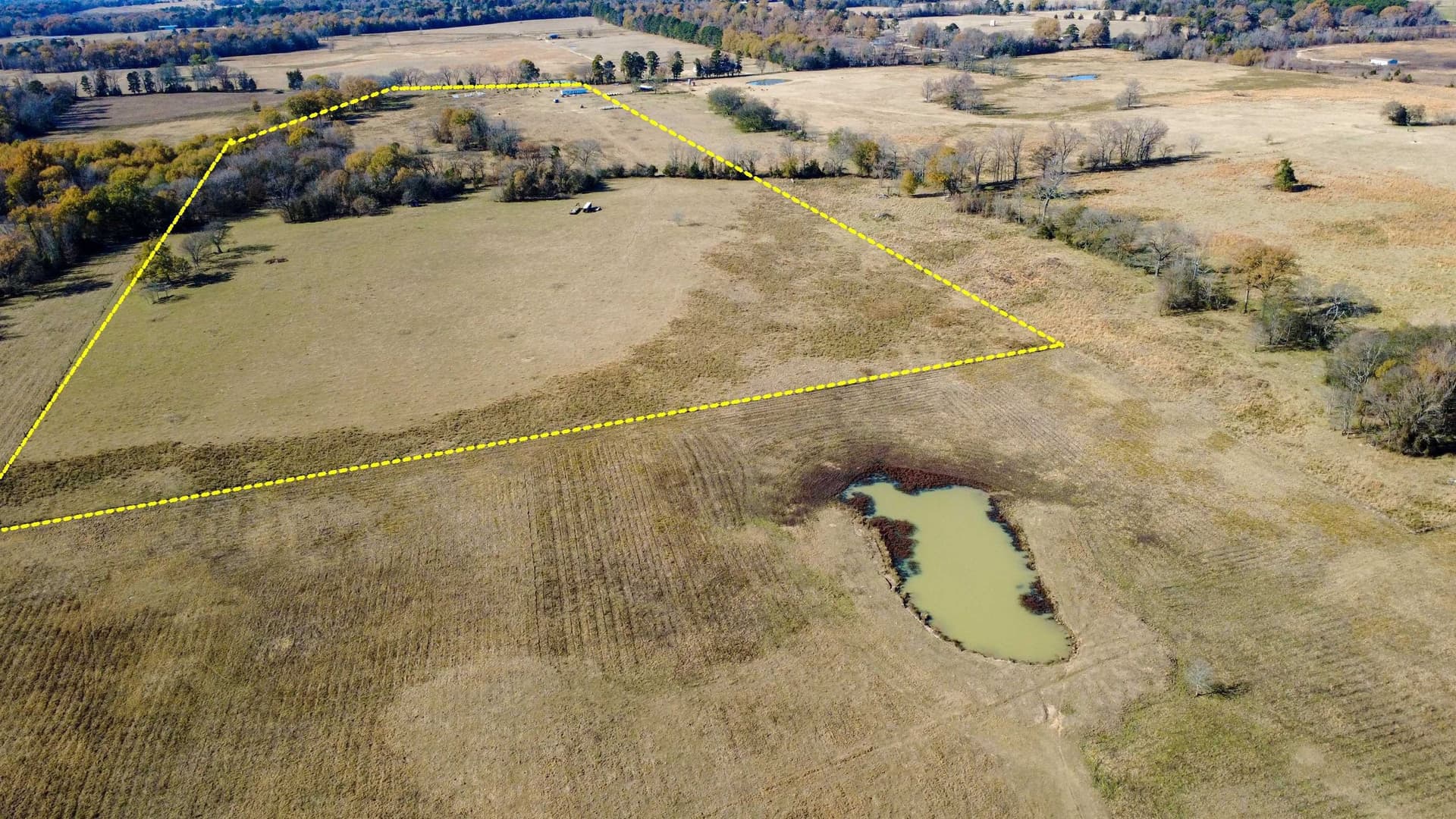 45.2 acres in Upshur County - photo 6