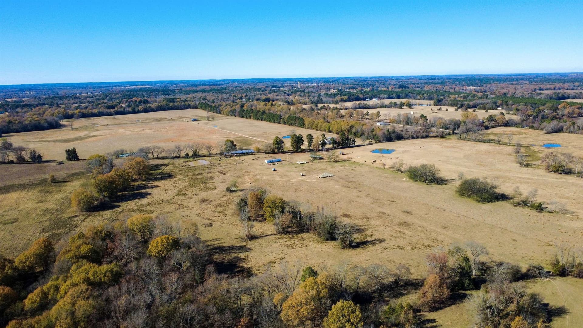 45.2 acres in Upshur County - photo 9