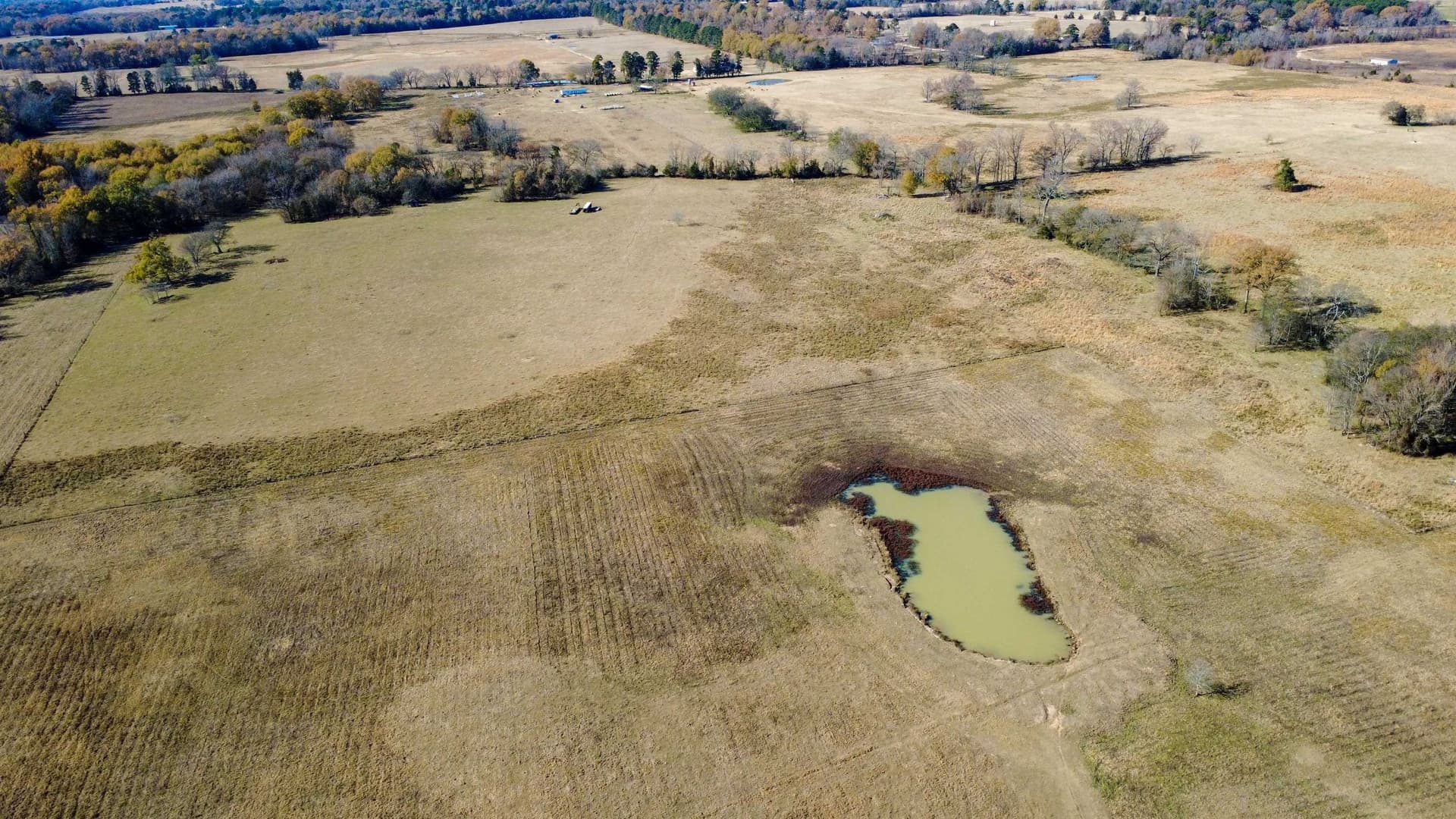 45.2 acres in Upshur County - photo 7