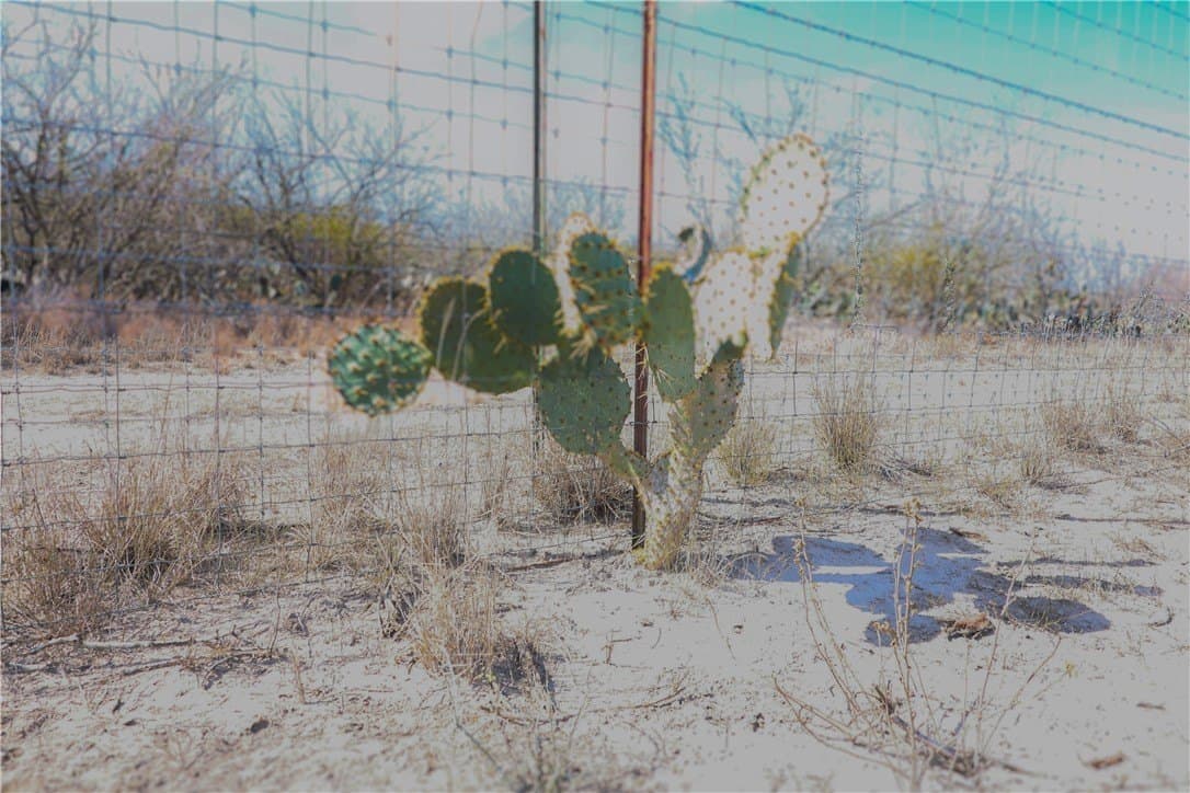 88.77 acres in Jim Wells County - photo 7