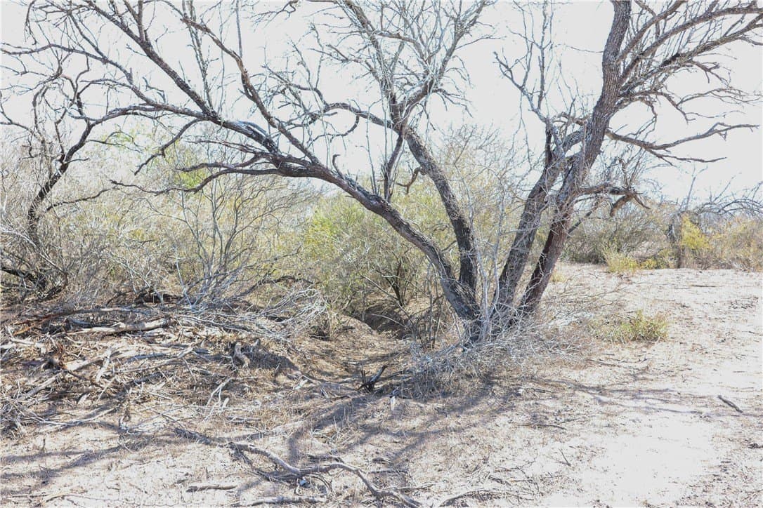 88.77 acres in Jim Wells County - photo 9