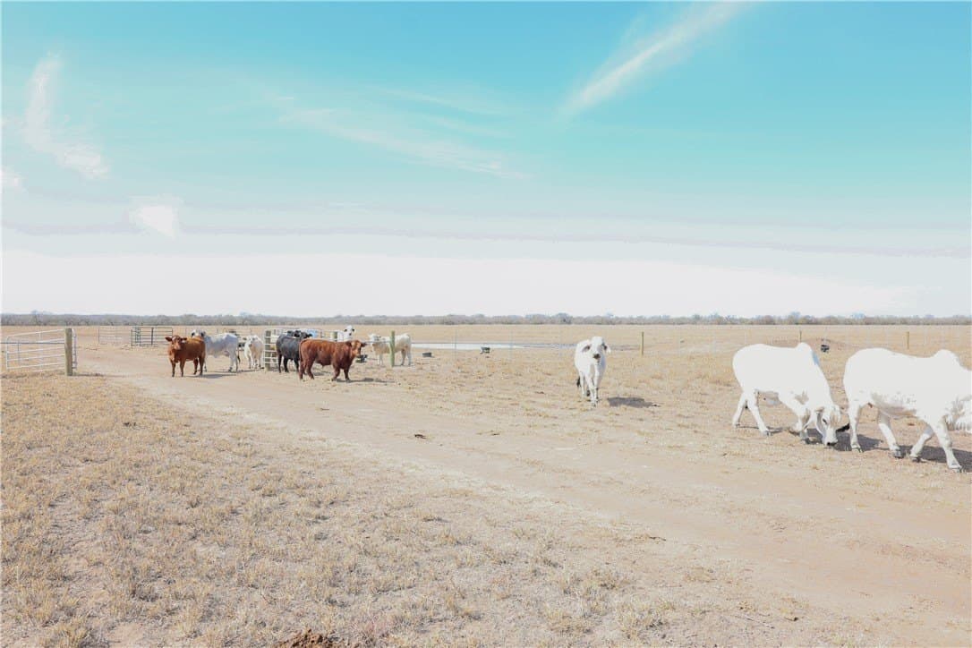 88.77 acres in Jim Wells County - photo 2