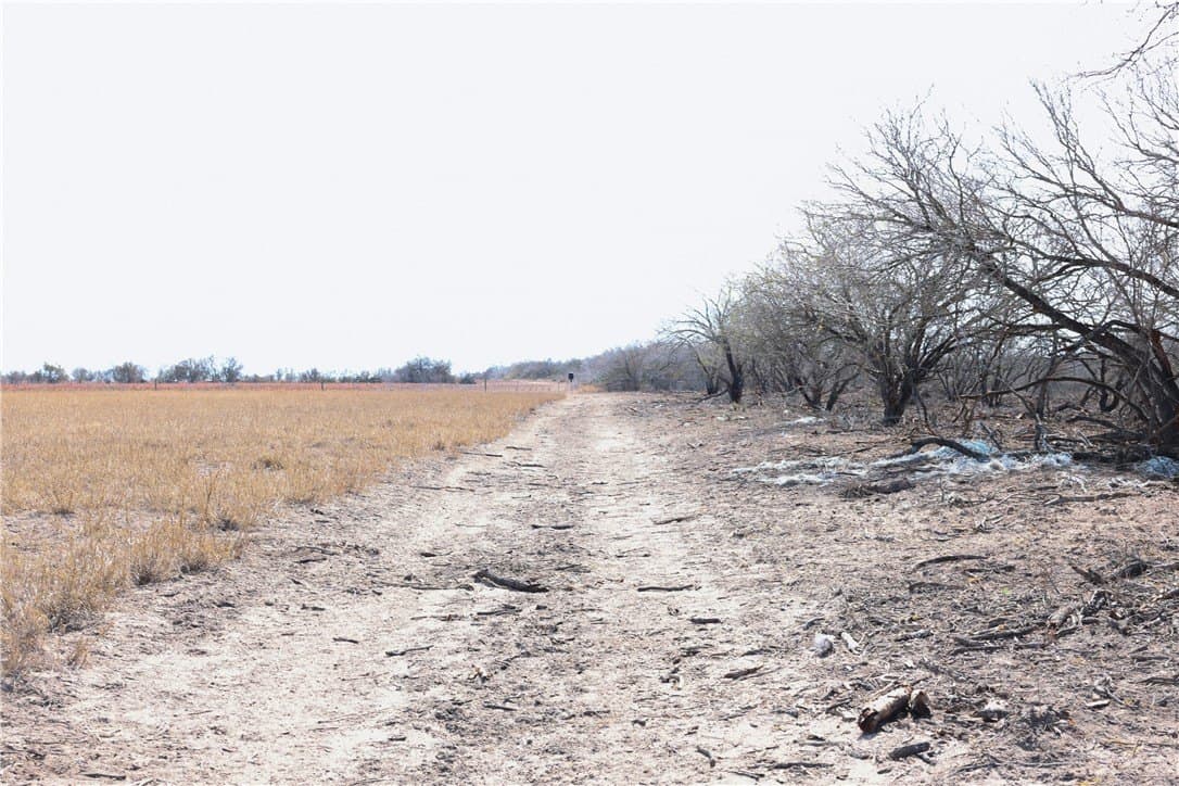 88.77 acres in Jim Wells County - photo 11