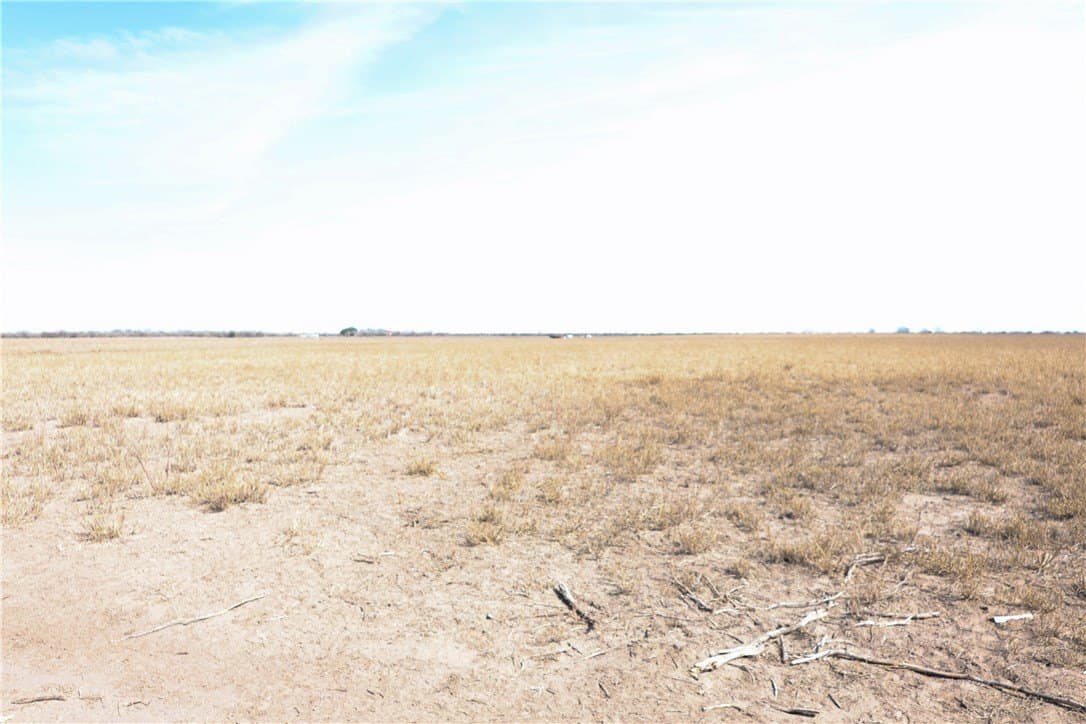 88.77 acres in Jim Wells County - photo 4