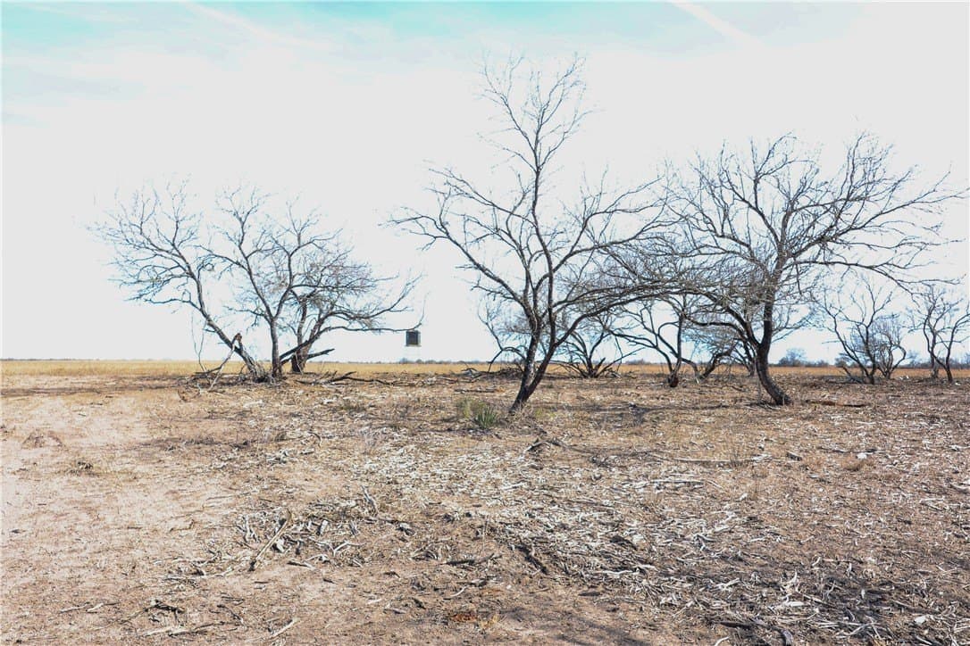 88.77 acres in Jim Wells County - photo 10