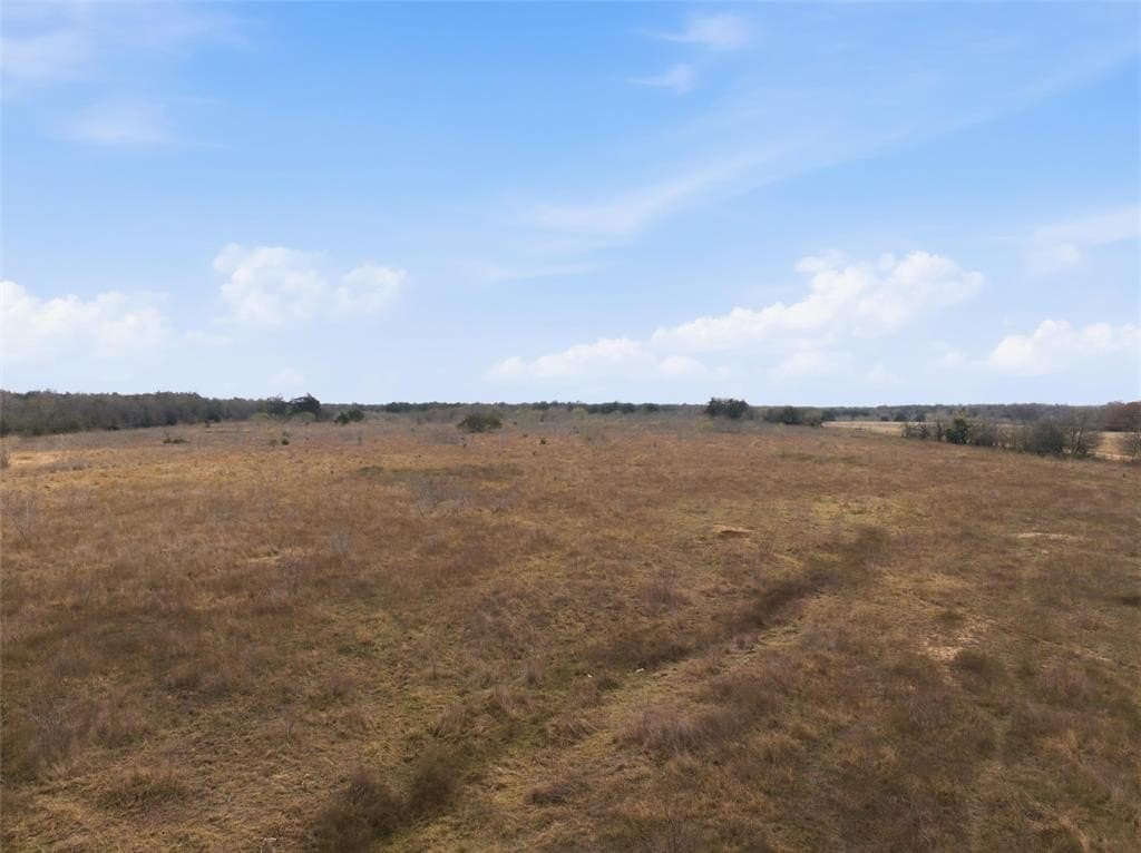 60.64 acres in Limestone County - photo 2