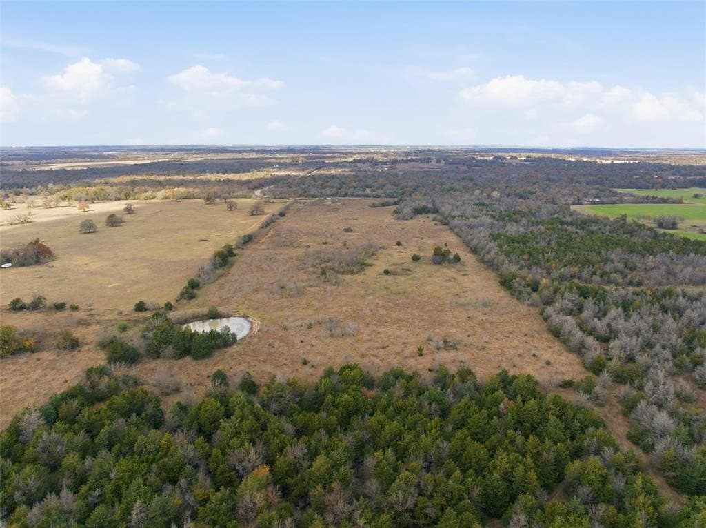 60.64 acres in Limestone County - photo 7