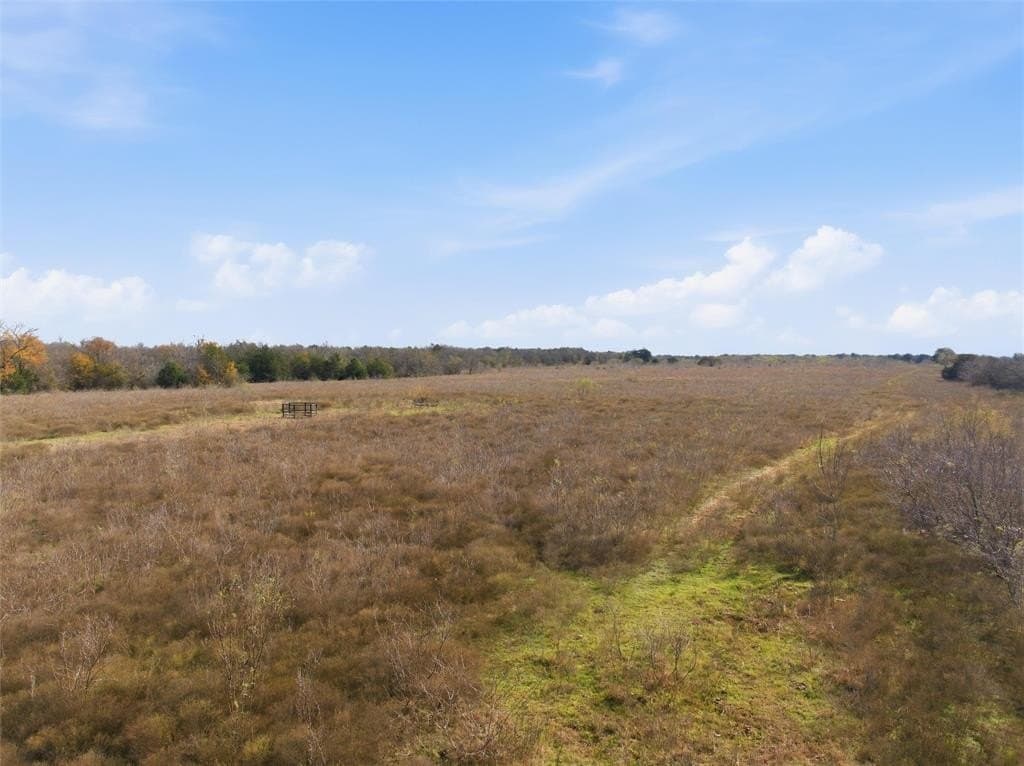 60.64 acres in Limestone County - photo 15