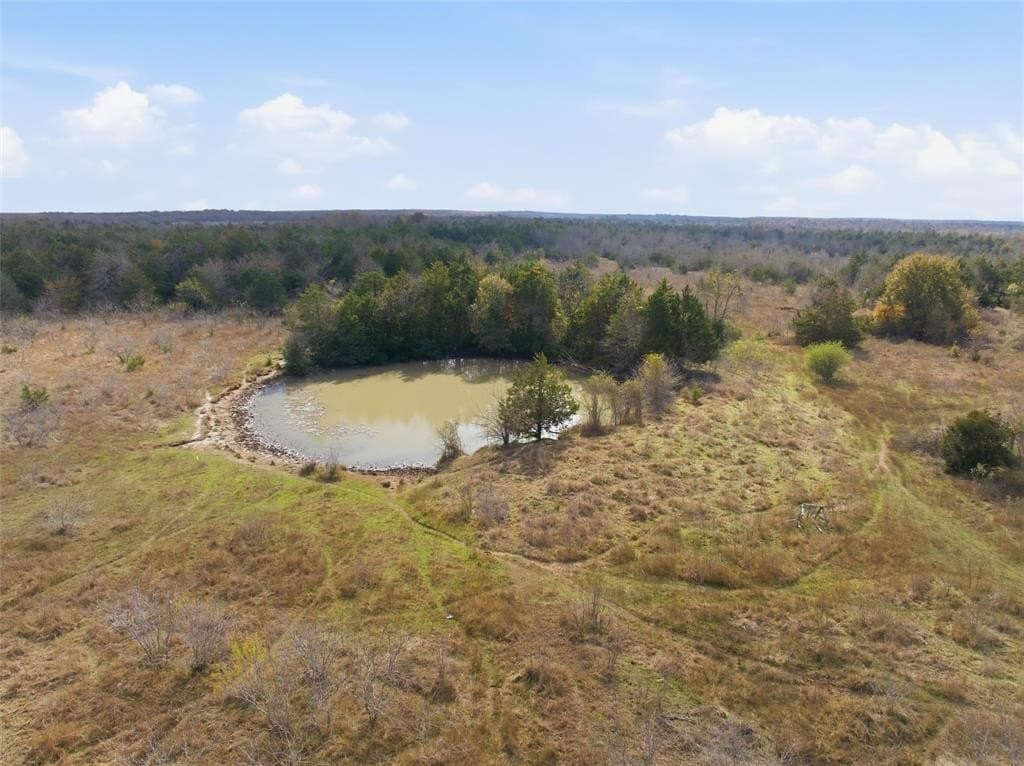 60.64 acres in Limestone County - photo 11