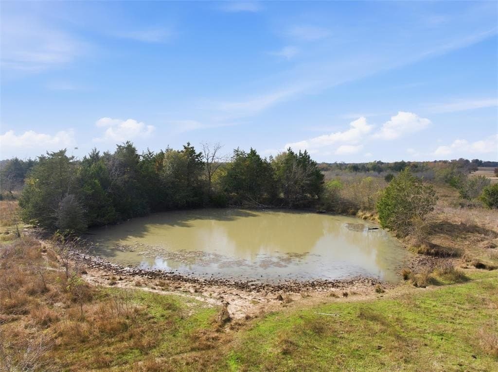 60.64 acres in Limestone County - photo 3