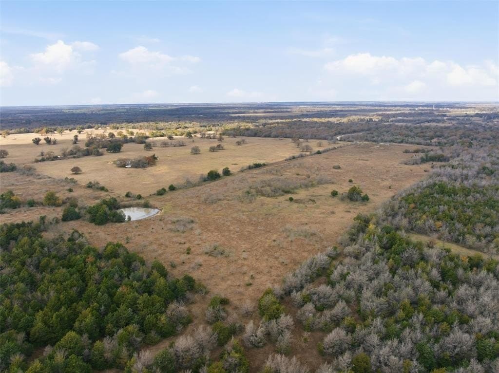 60.64 acres in Limestone County - photo 9