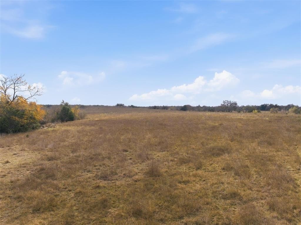 60.64 acres in Limestone County - photo 4