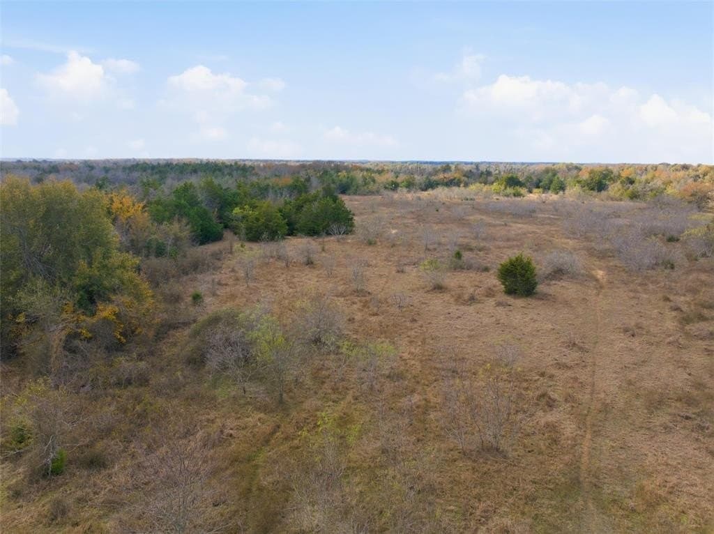 60.64 acres in Limestone County - photo 6