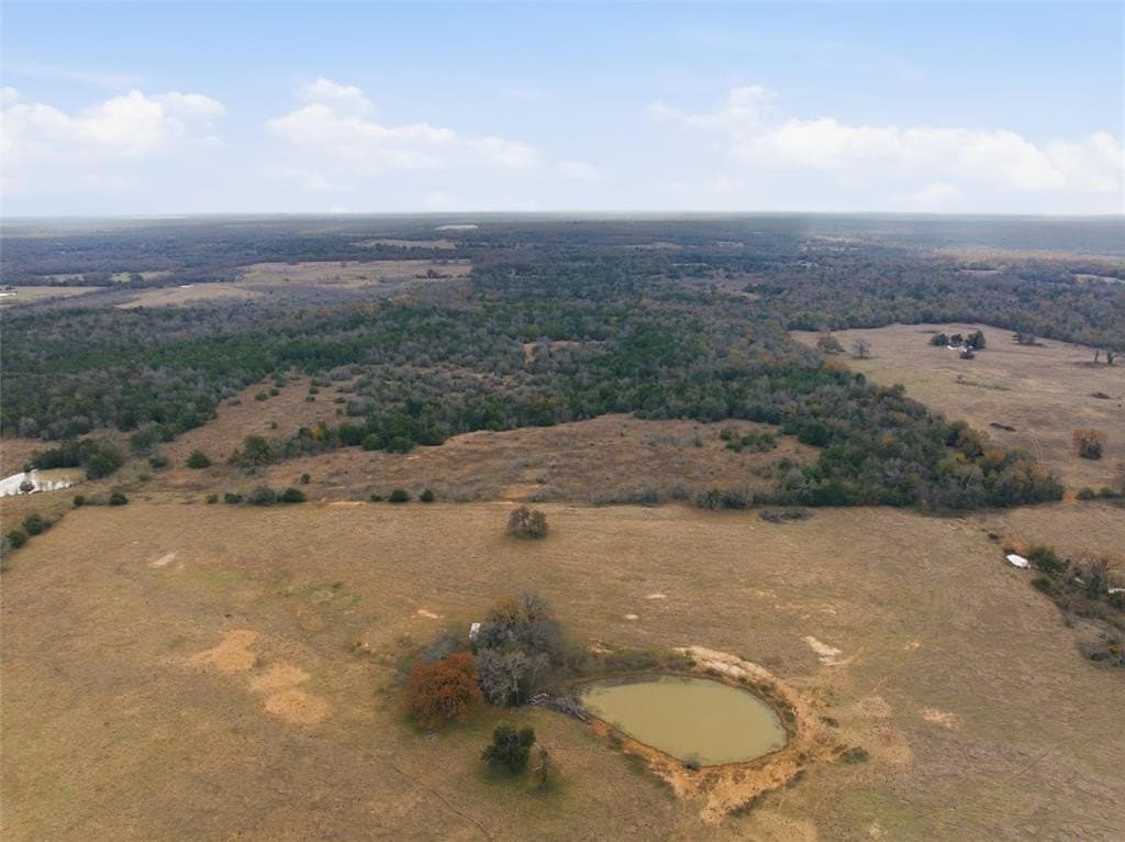60.64 acres in Limestone County - photo 5