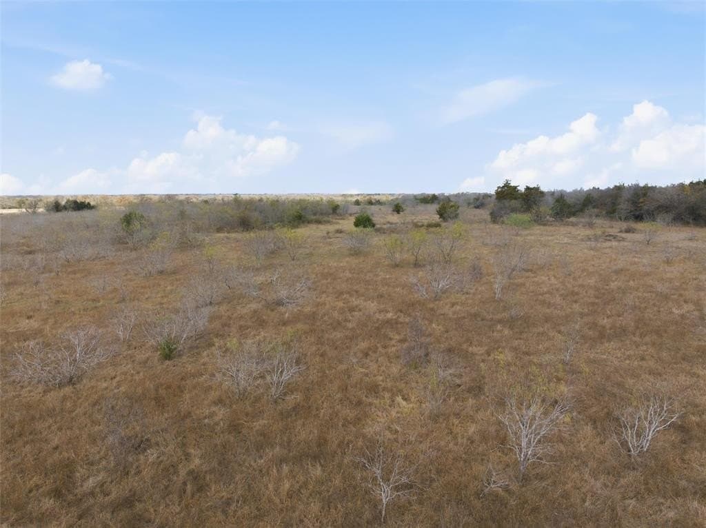 60.64 acres in Limestone County - photo 17