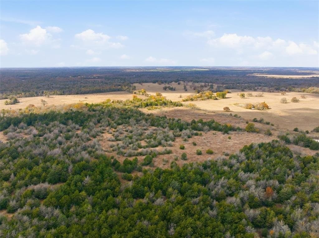 60.64 acres in Limestone County - photo 10