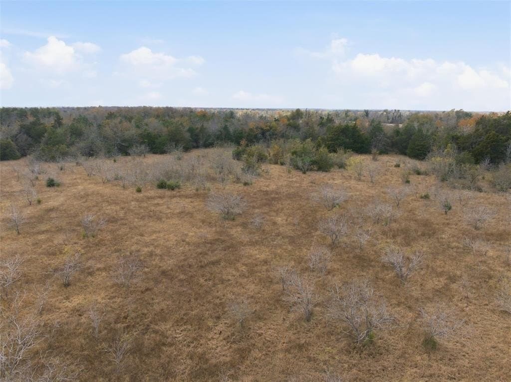 60.64 acres in Limestone County - photo 8