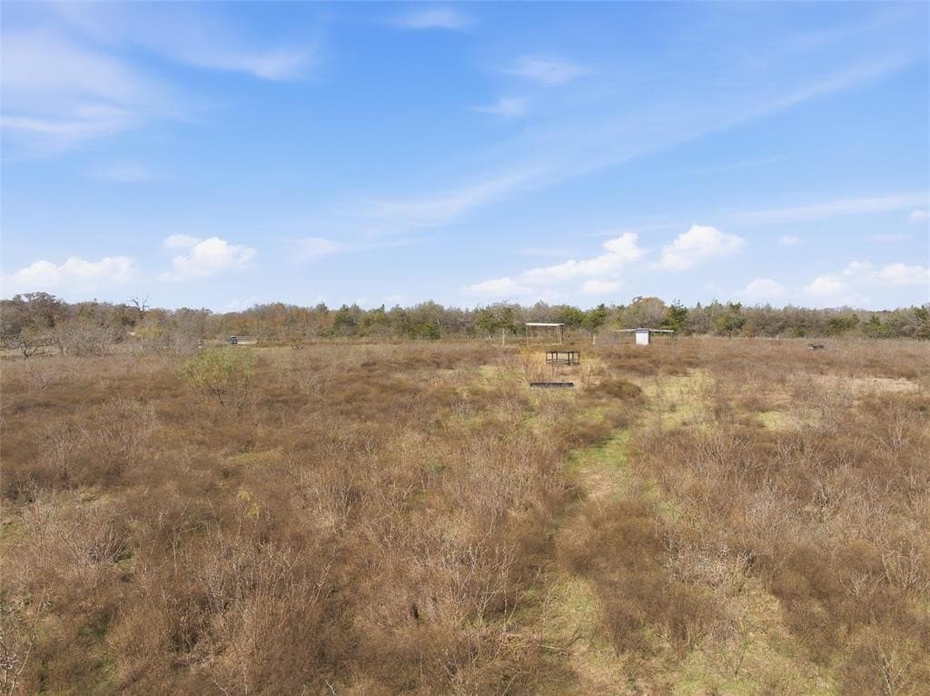 60.64 acres in Limestone County - photo 13