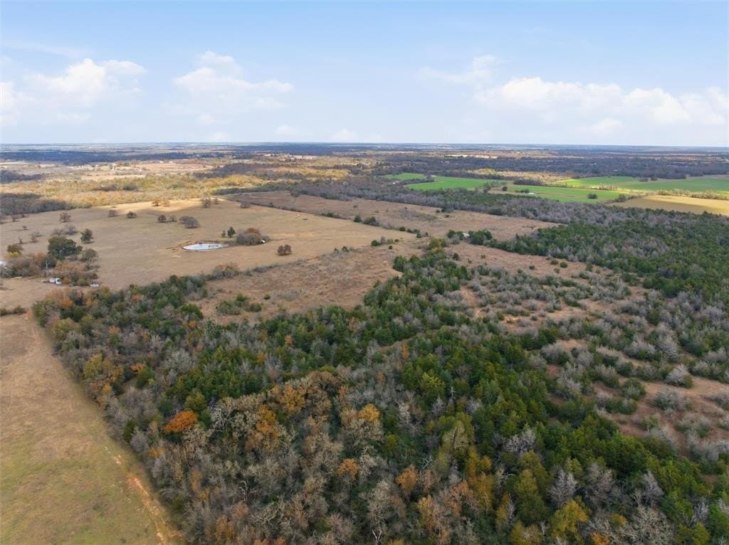 60.64 acres in Limestone County - photo 12