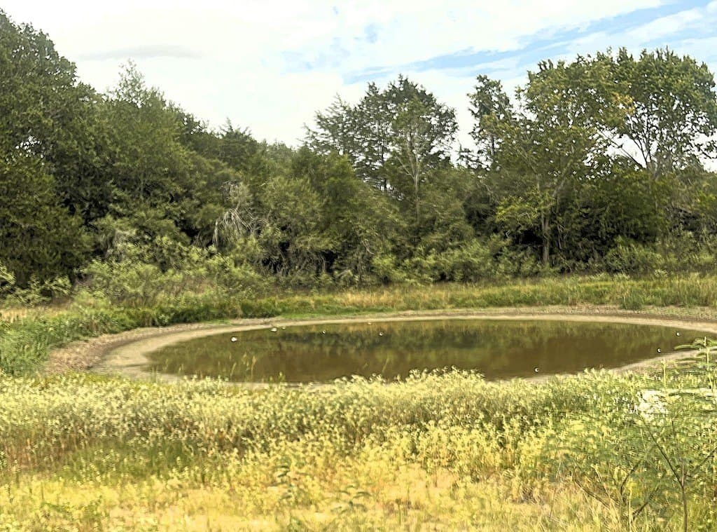 38.1 acres in Lavaca County - photo 24