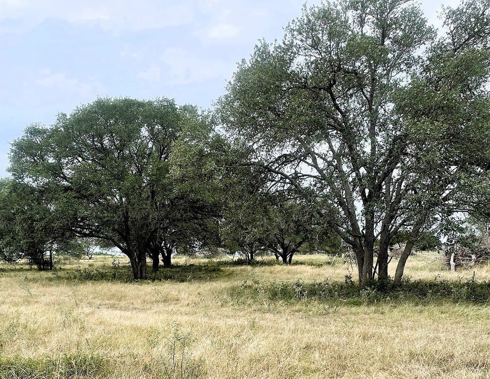 38.1 acres in Lavaca County - photo 21