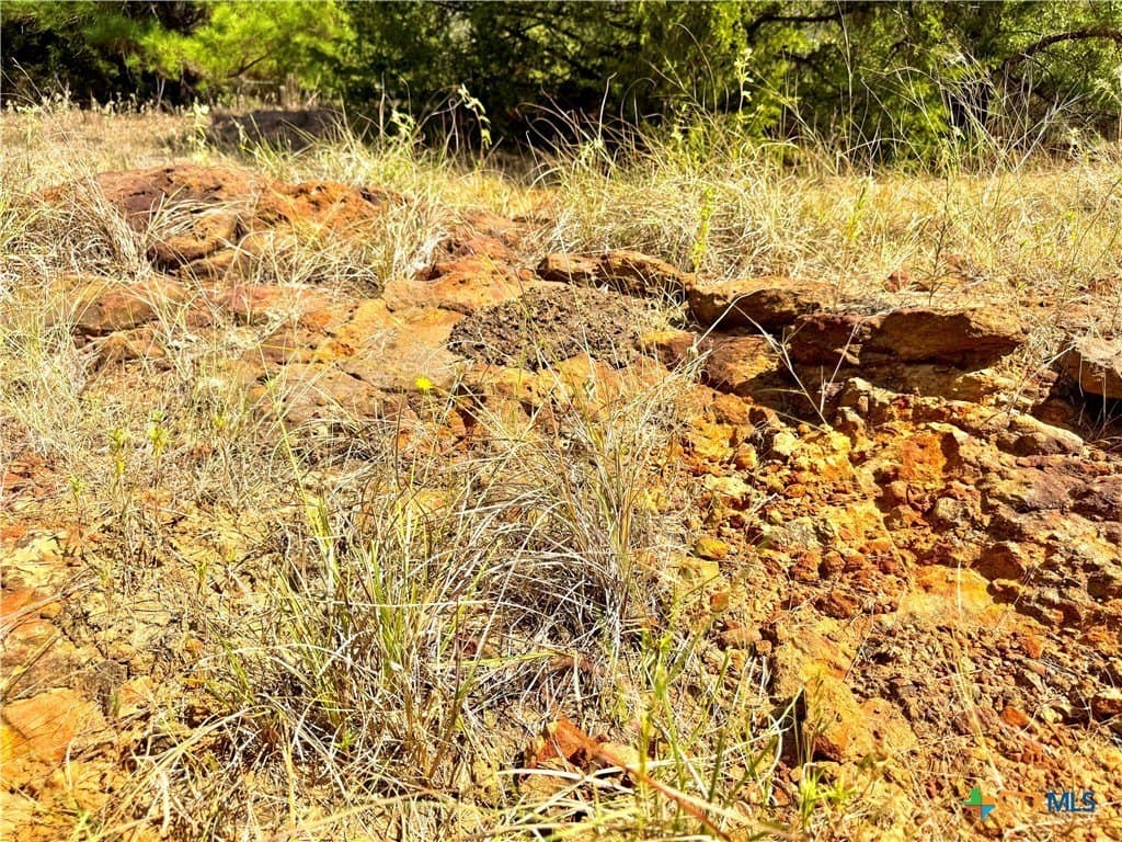 50.62 acres in Bastrop County - photo 9