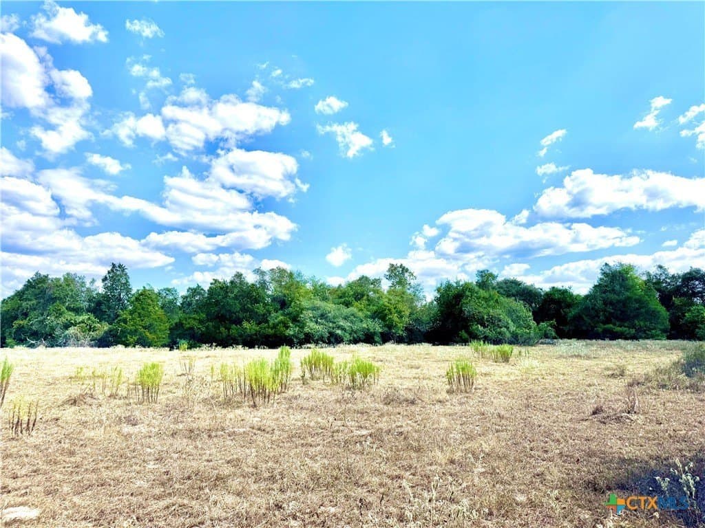 50.62 acres in Bastrop County - photo 3