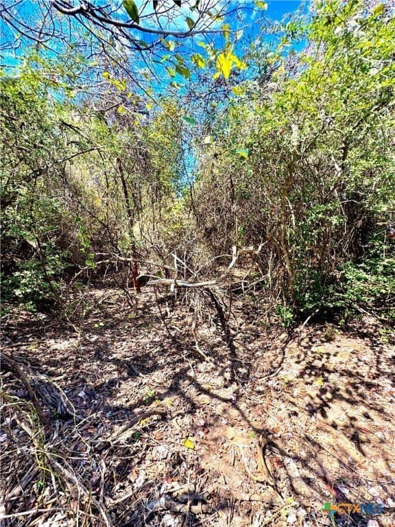 50.62 acres in Bastrop County - photo 15
