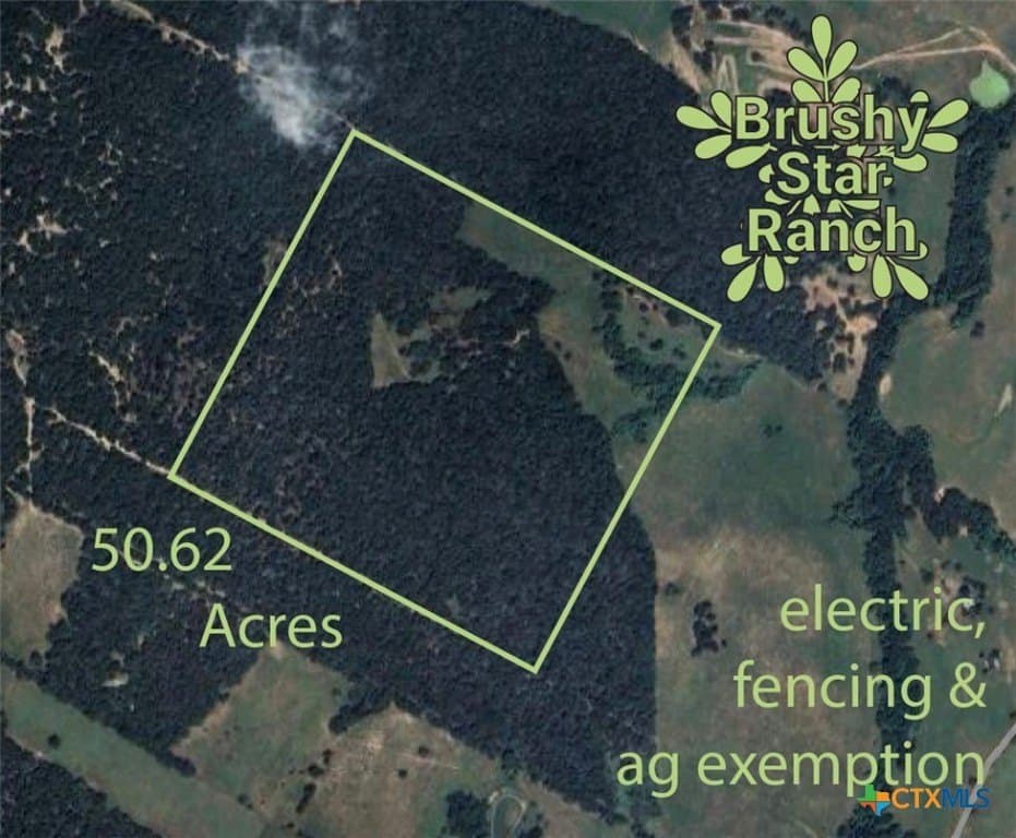 50.62 acres in Bastrop County - photo 14