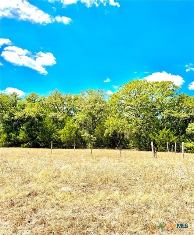 50.62 acres in Bastrop County - photo 16