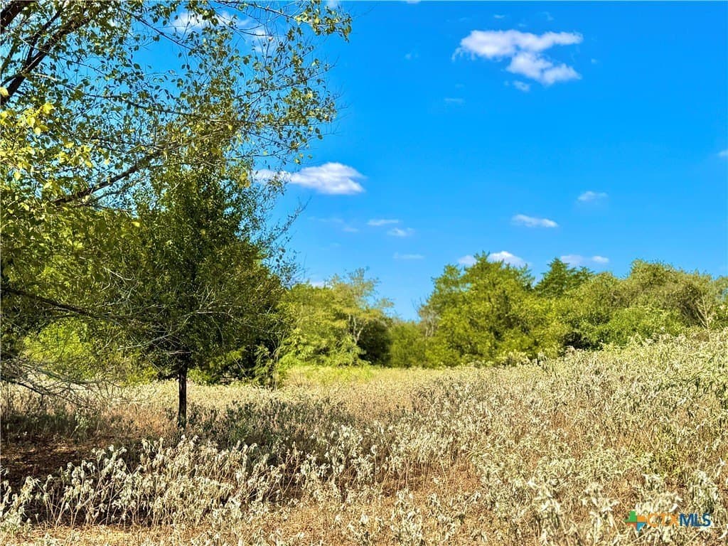 50.62 acres in Bastrop County - photo 7