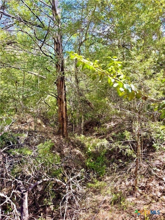 50.62 acres in Bastrop County - photo 12
