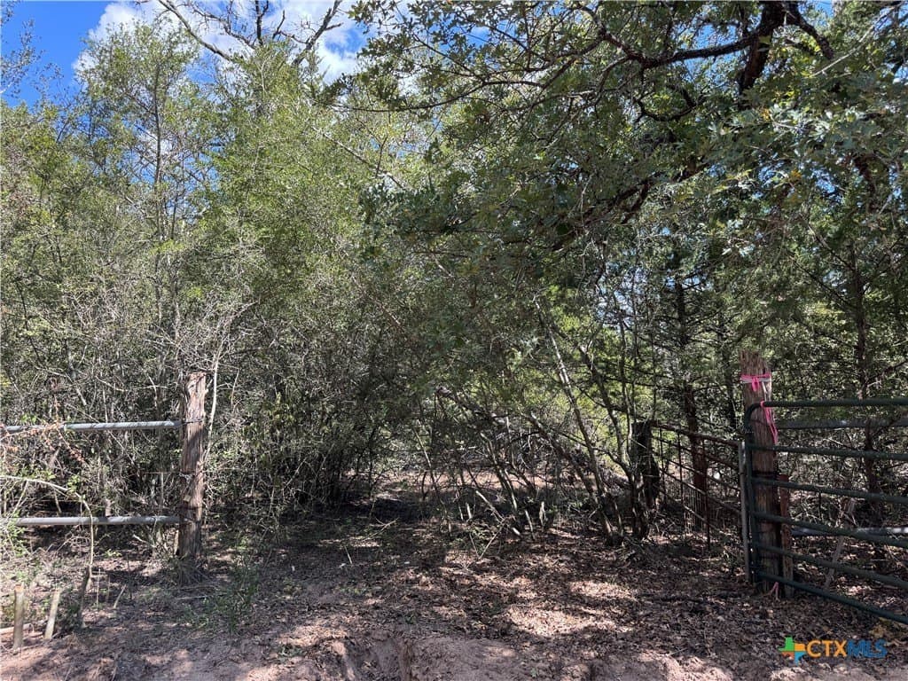 50.62 acres in Bastrop County - photo 13