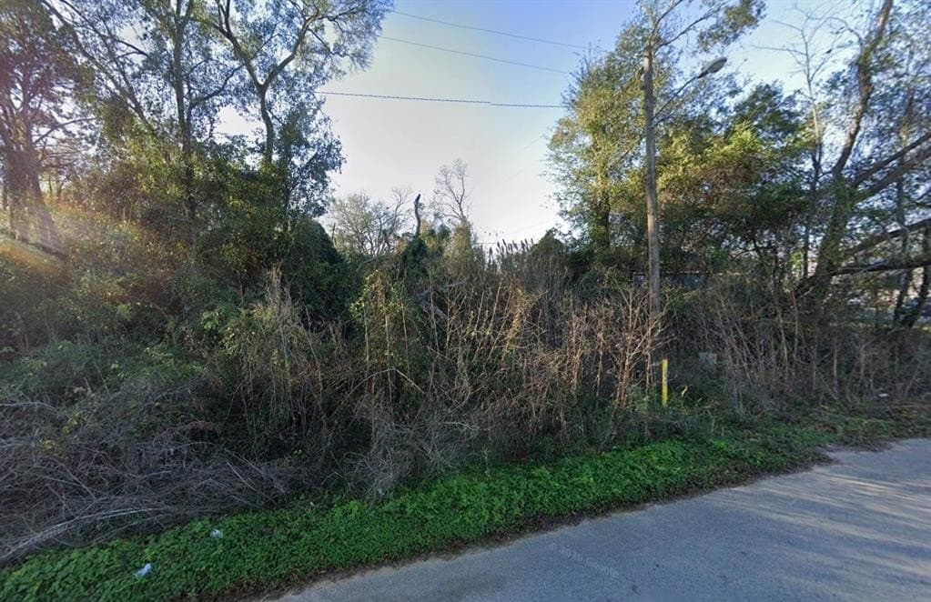 0.16 acres in Montgomery County - photo 2