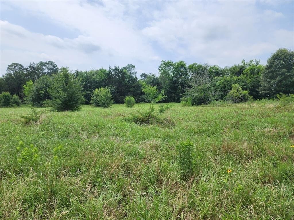 98.34 acres in Wood County - photo 11