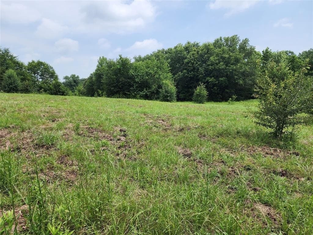 98.34 acres in Wood County - photo 3