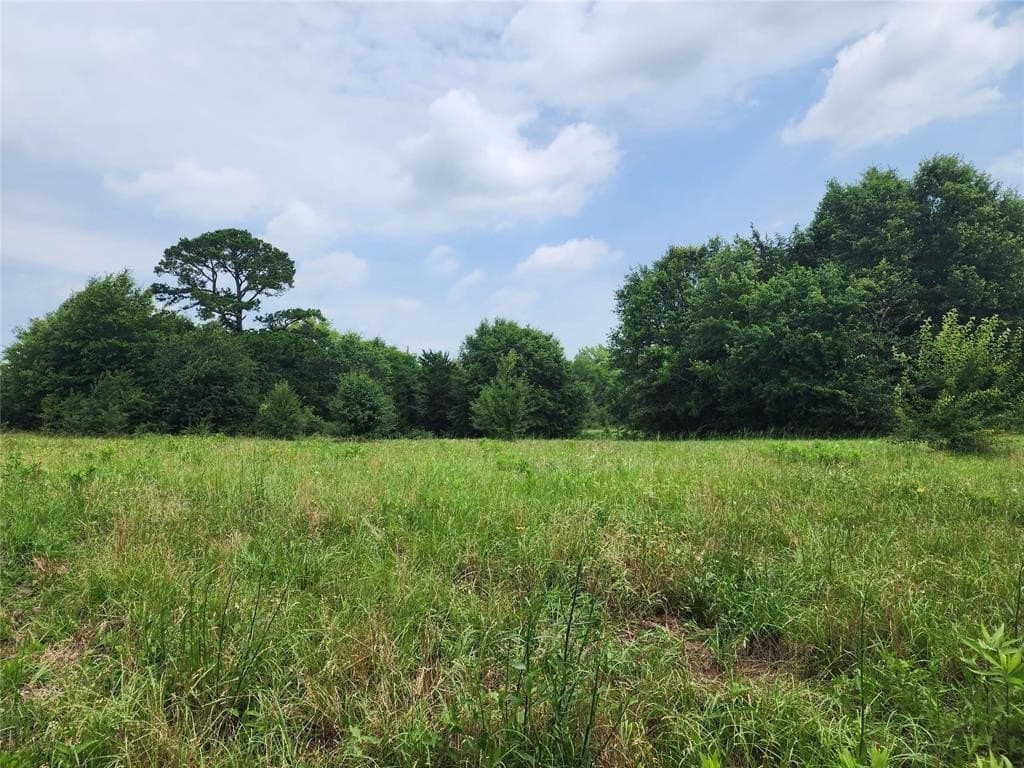98.34 acres in Wood County - photo 4