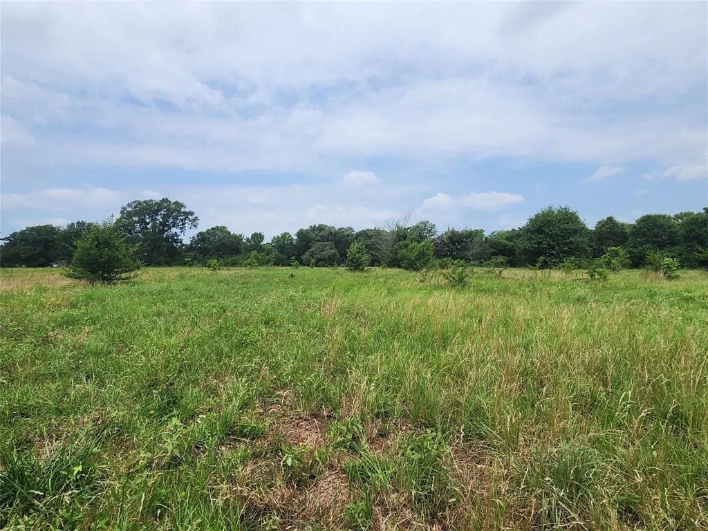 98.34 acres in Wood County - photo 6