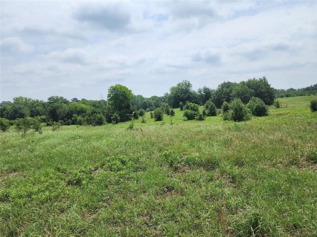 98.34 acres in Wood County - photo 9