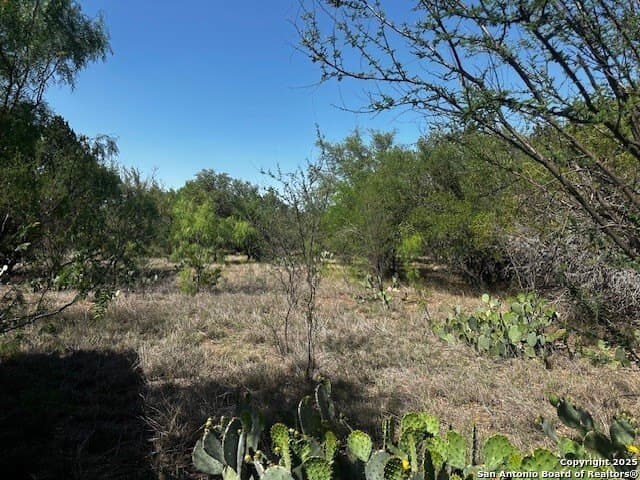 4,000 acres in Real County - photo 18